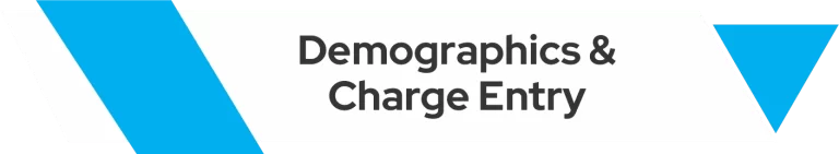 Demographics and charge entry - Zee Medical Billing